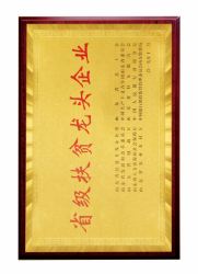 手机在线午夜视频資質文件