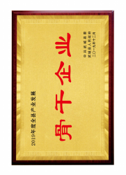 手机在线午夜视频資質文件